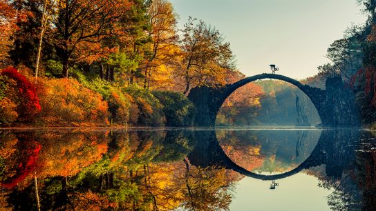 The perfect gift for the photographer (The Latest)